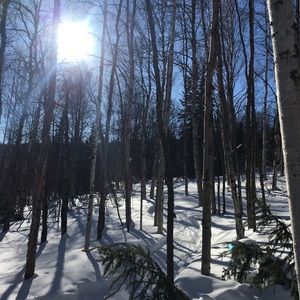 Meet your Posher, Paula